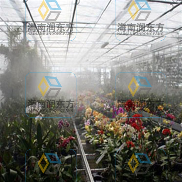 花草种植大棚喷雾降温雾化喷雾系统工程.jpg